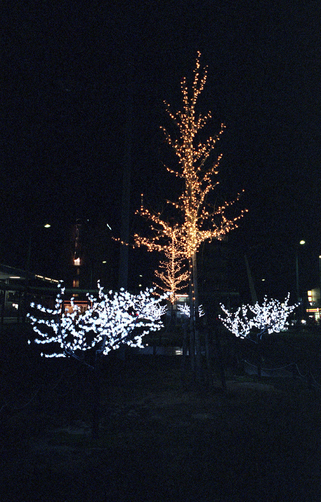 b0137723_092330.jpg