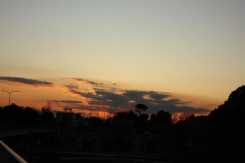 e0162524_1221584.jpg