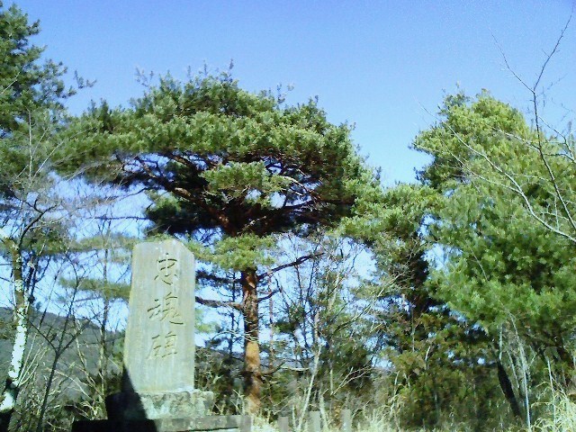 b0184725_15592923.jpg