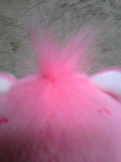 f0190328_1673411.jpg