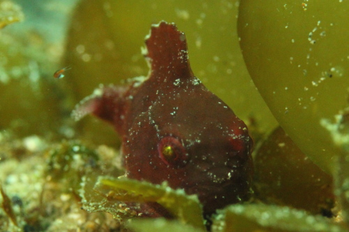 c0034029_6501739.jpg