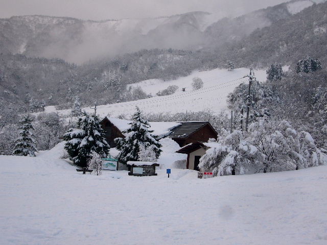 d0075131_095876.jpg