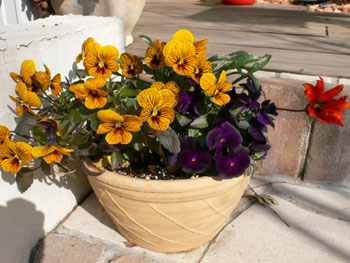 f0061334_21113591.jpg