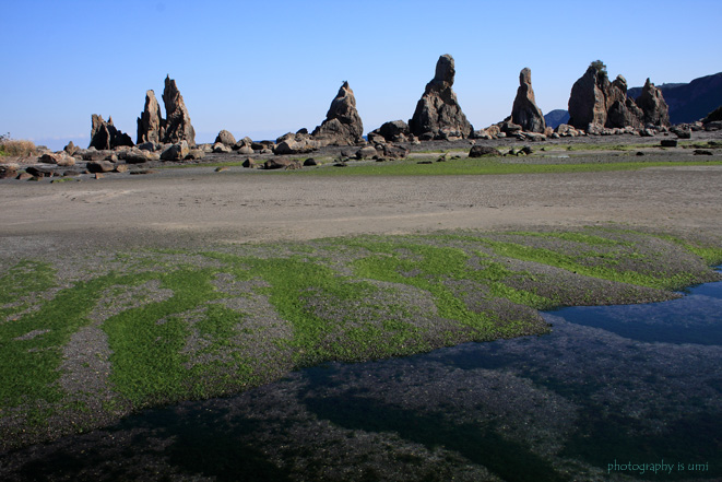 e0083238_22482921.jpg