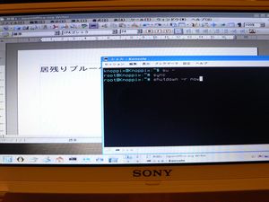 d0022845_4504611.jpg