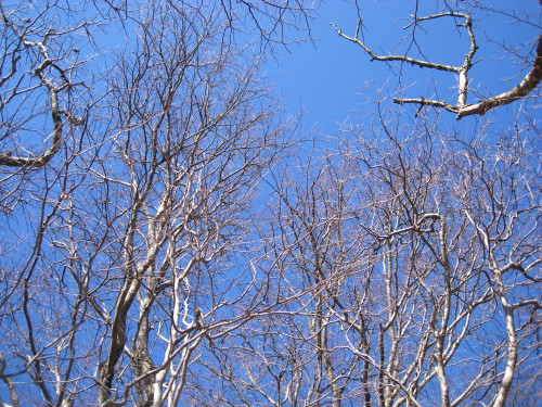 c0179351_183248.jpg