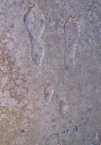 c0179351_18355873.jpg