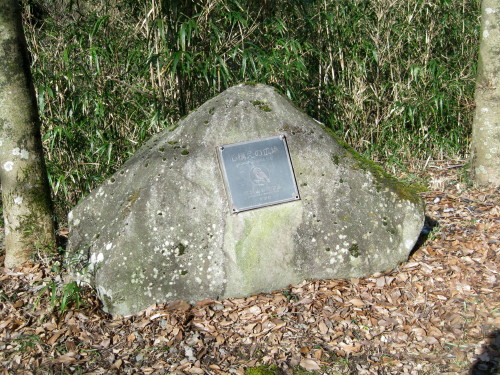 c0179351_1885323.jpg