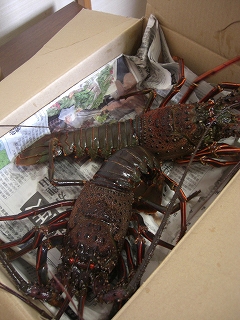 f0009451_2347121.jpg