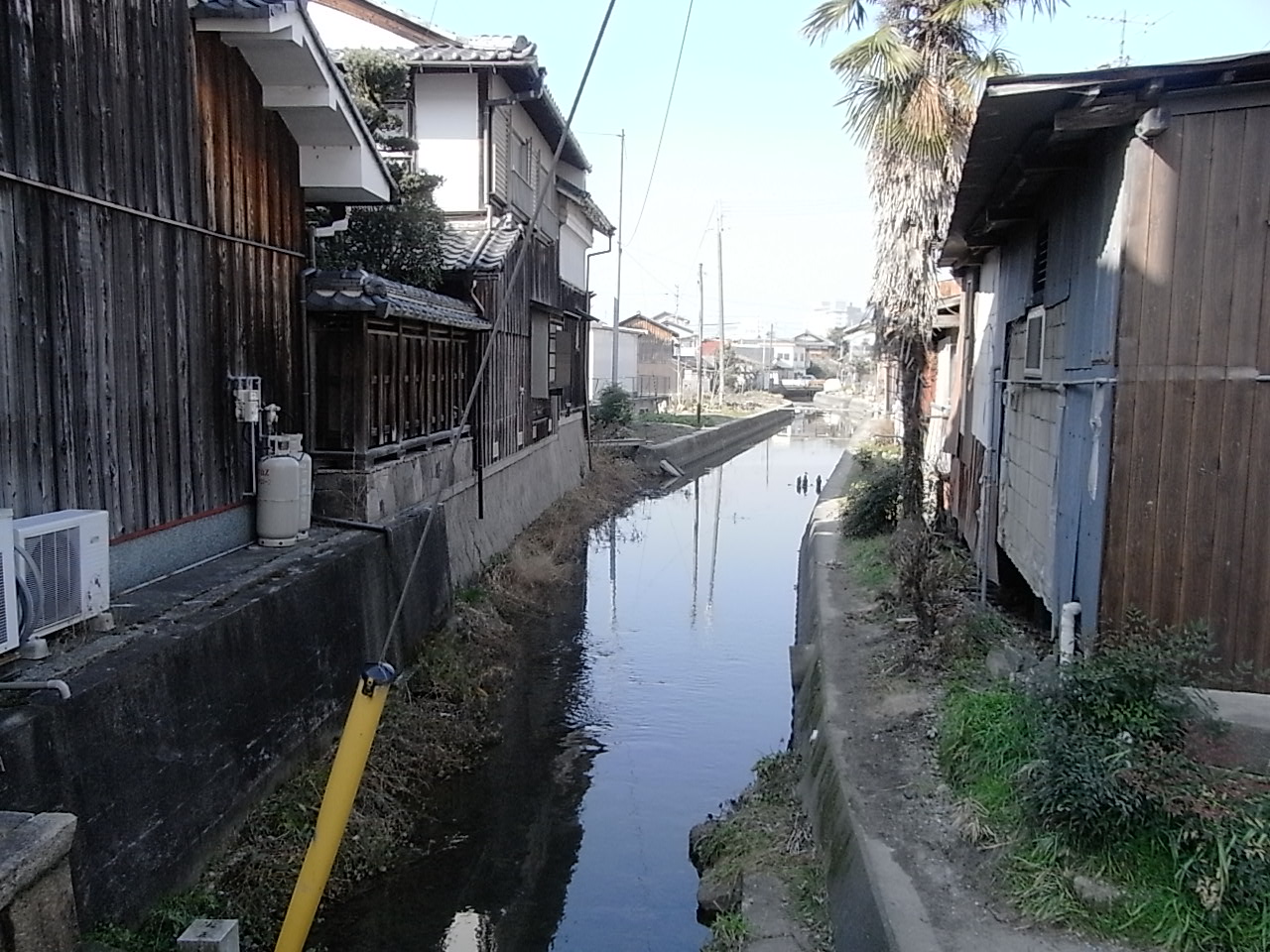 f0178153_0423511.jpg