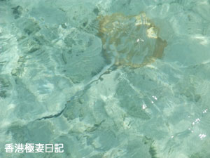 f0190653_10251044.jpg