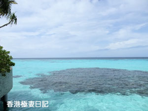 f0190653_10253365.jpg