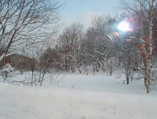 e0004756_2105570.jpg