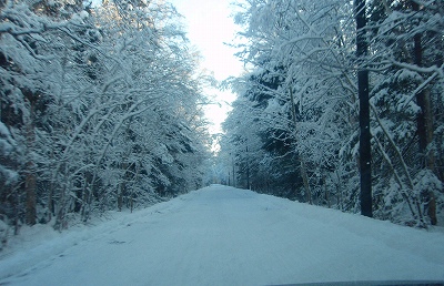 e0004756_2121567.jpg