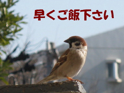 b0158061_19343016.jpg