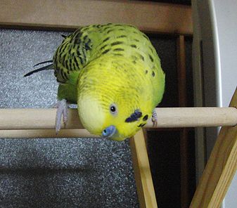 f0196665_059090.jpg