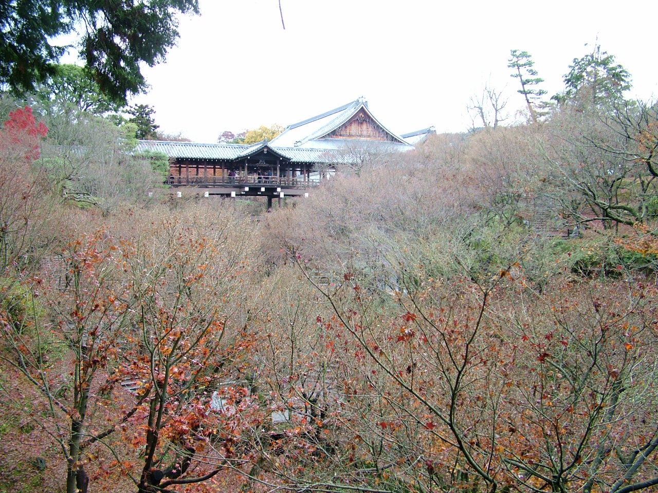 b0141970_581742.jpg