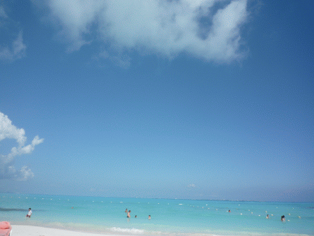 f0186671_0432523.gif