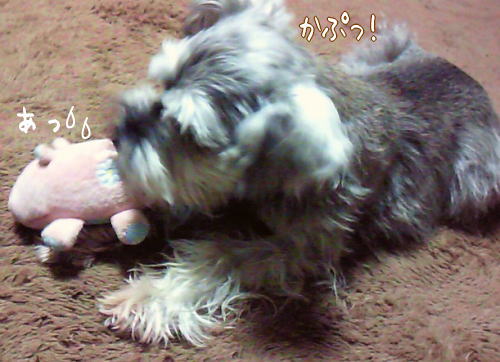 f0145575_18262423.jpg