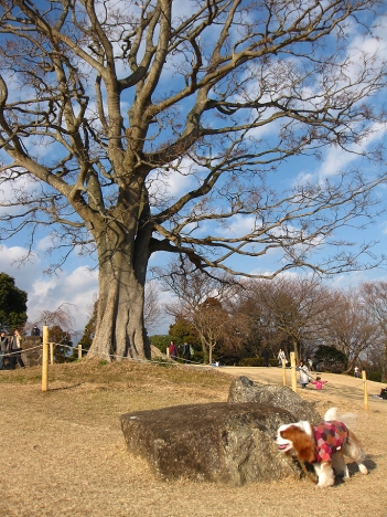 f0175875_21485061.jpg