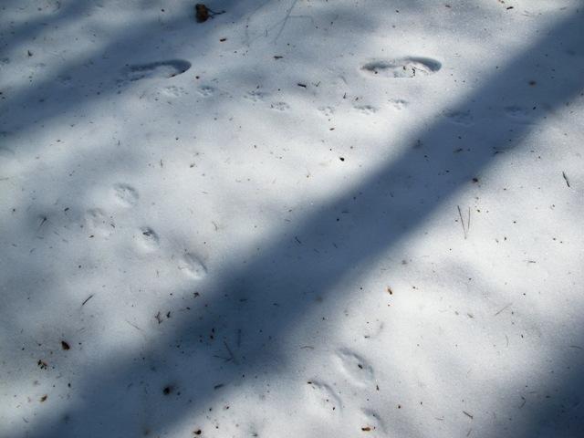 a0091680_16251978.jpg