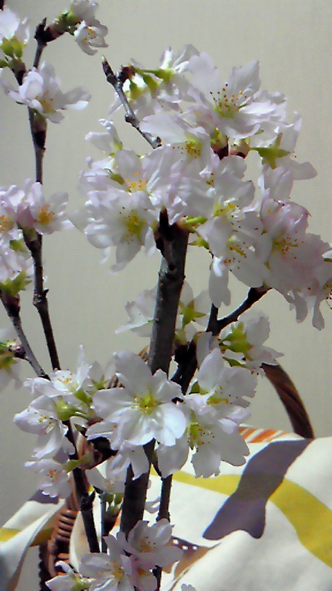 b0013080_0101918.jpg