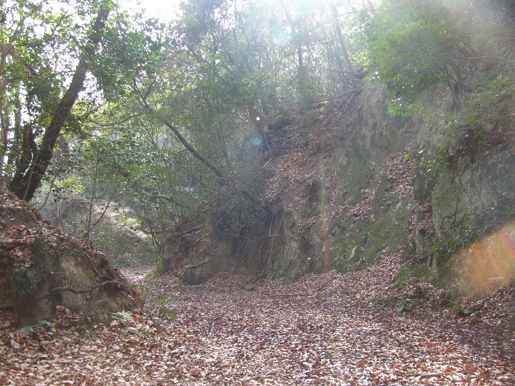 e0024081_14492575.jpg