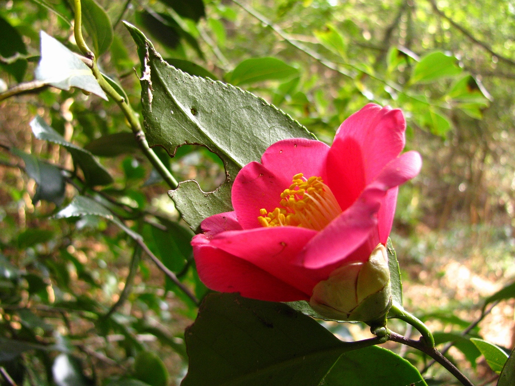 e0024081_14494559.jpg