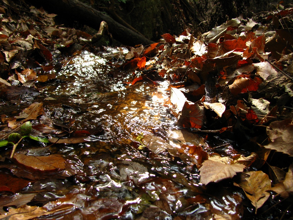 e0024081_1450057.jpg