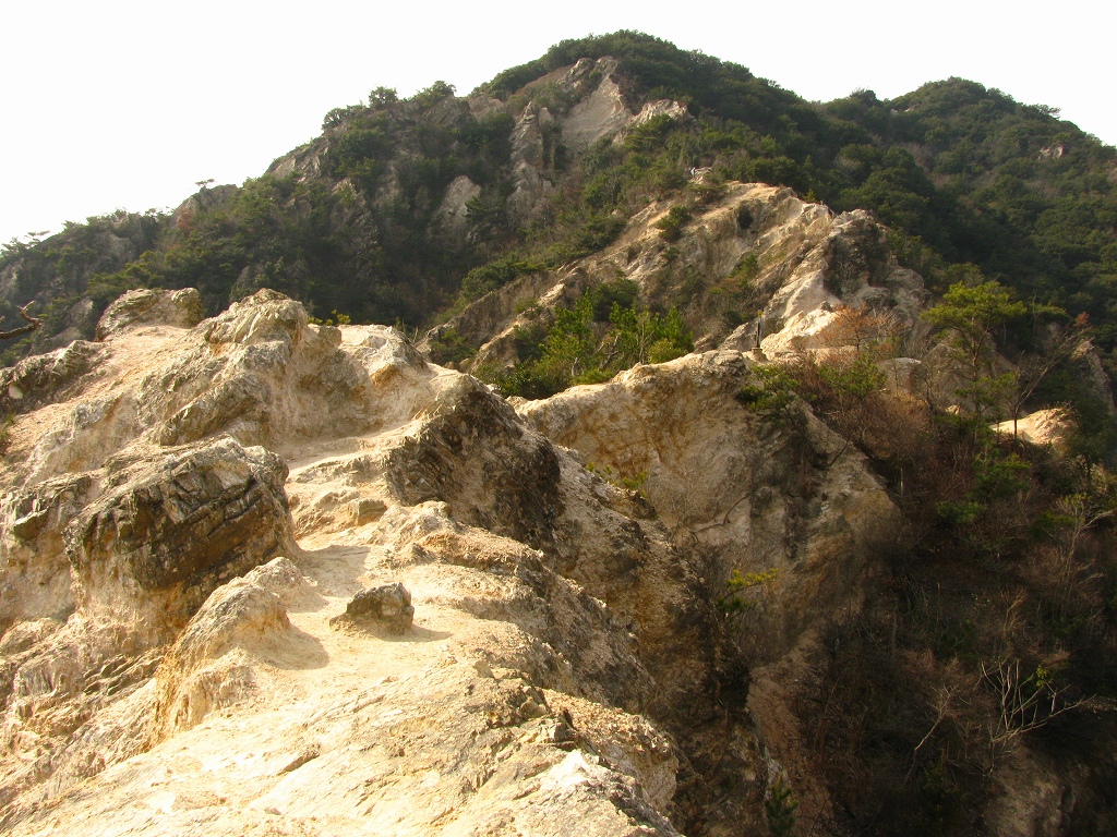 e0024081_14502093.jpg