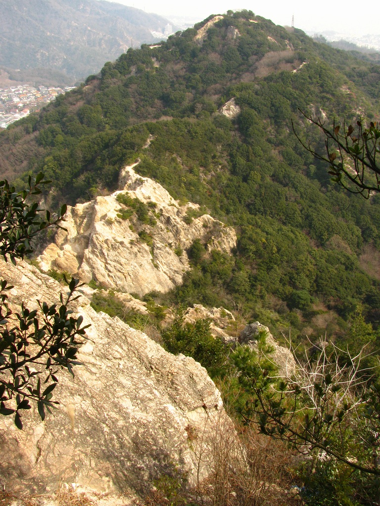 e0024081_1450305.jpg
