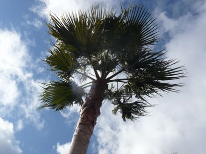 e0150783_821023.jpg