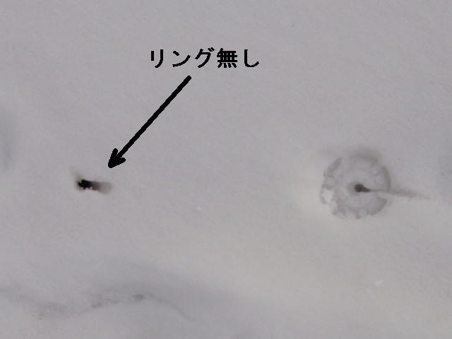 a0007388_10301843.jpg