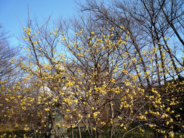 a0127090_21164399.jpg