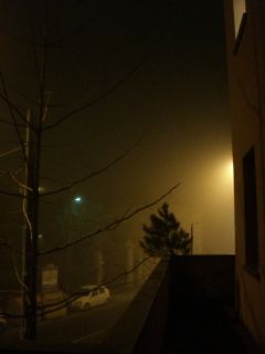 c0213694_343464.jpg