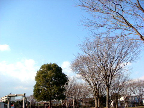 f0137694_1221166.jpg