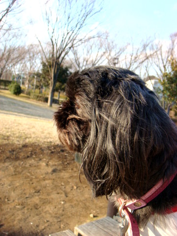 f0137694_1224815.jpg