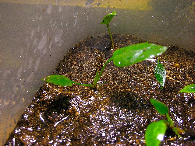 f0200298_23163498.jpg