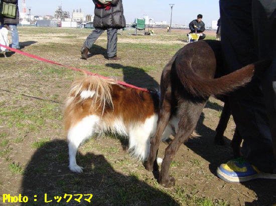 c0044199_23461773.jpg