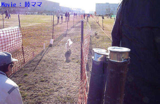 c0044199_2375853.jpg