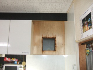a0163400_1135661.jpg