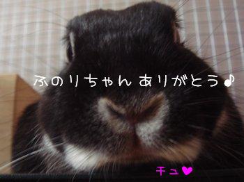 b0081503_1474591.jpg