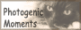 b0147203_1912635.gif