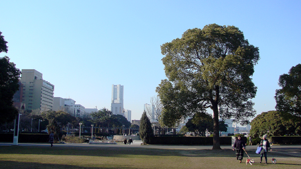f0080105_2373944.jpg