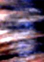 e0103408_11311696.gif