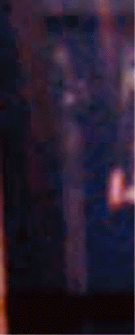 e0103408_1131453.gif