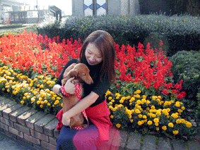 e0179308_23594185.gif