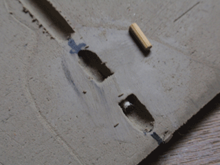 b0176111_2353152.gif