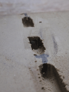 b0176111_236182.gif