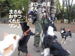c0185516_12355418.jpg
